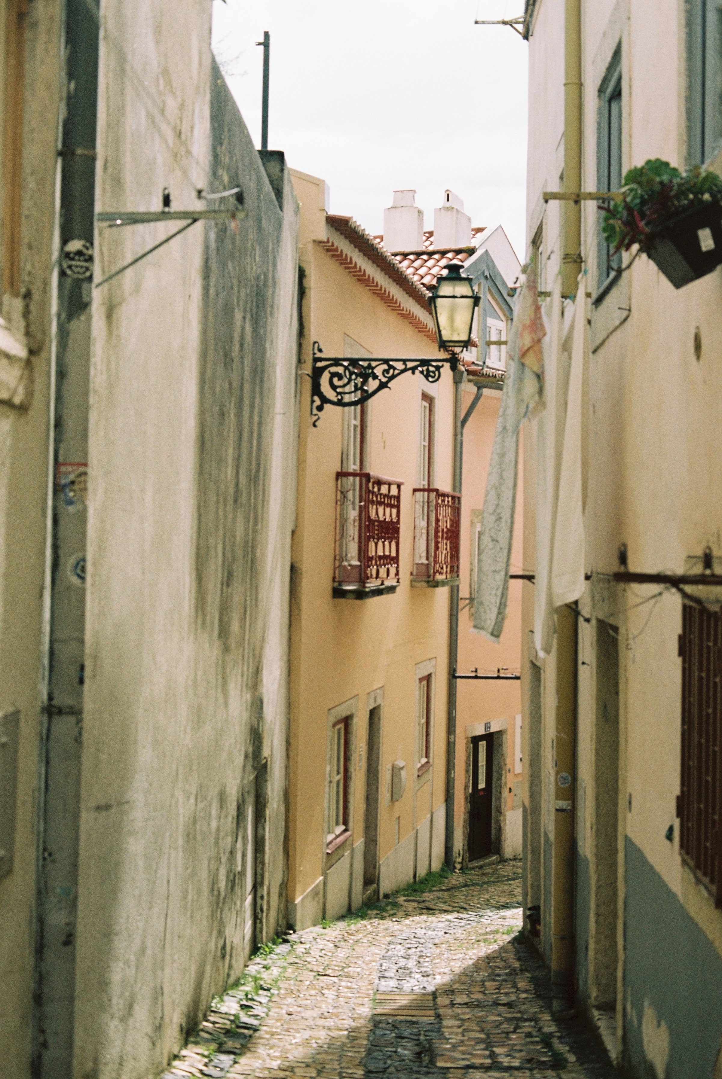 Seventeenth frame