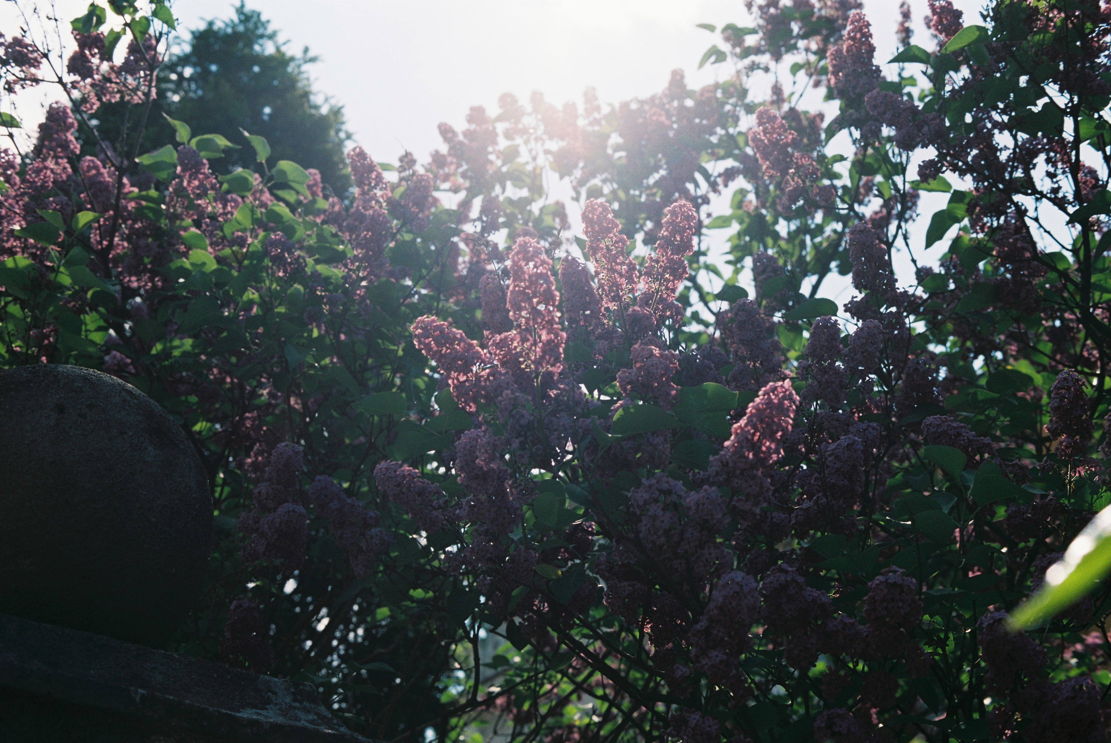 Eleventh frame